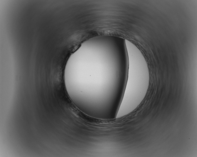 X0000088490760200705221022