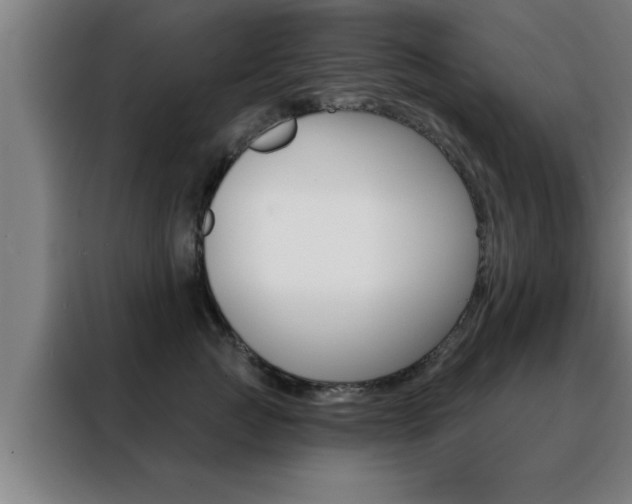 X0000088490761200705221022