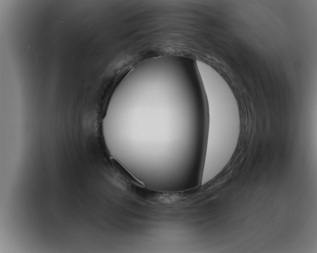 X0000088490762200705221022
