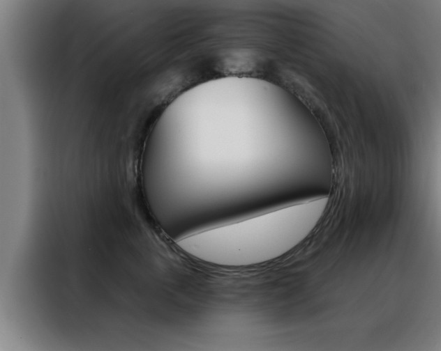 X0000088490763200705221022