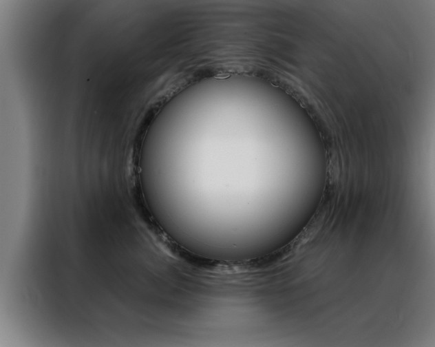 X0000088490764200705221022