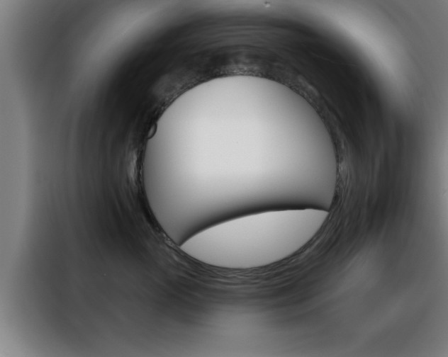 X0000088490765200705221022