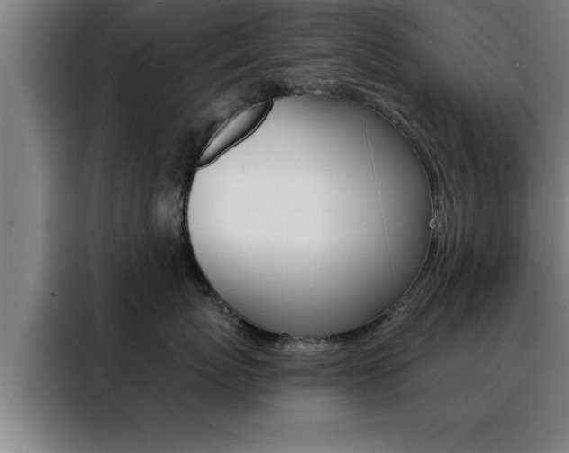 X0000088490767200705221022