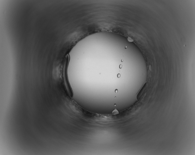 X0000088490768200705221022