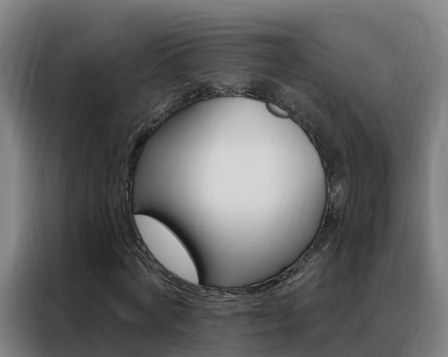 X0000088490772200705221021