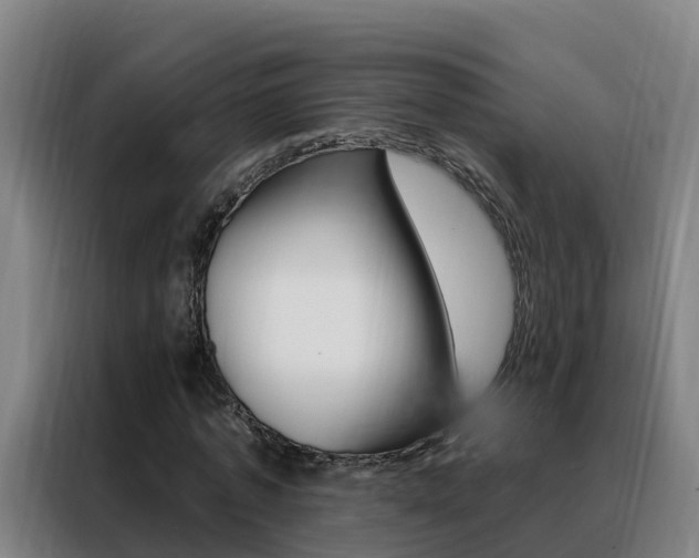 X0000088490773200705221021
