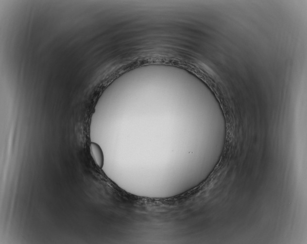 X0000088490774200705221021