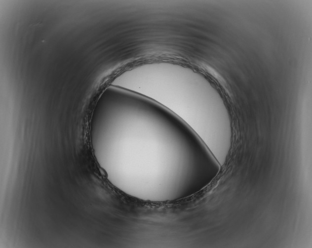 X0000088490775200705221021