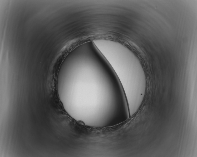 X0000088490776200705221021