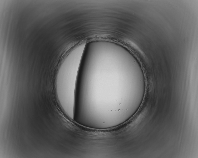 X0000088490777200705221021