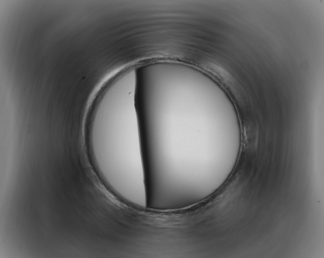 X0000088490780200705221021