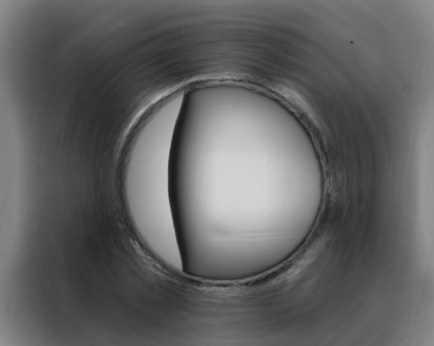 X0000088490781200705221021