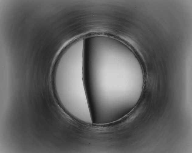 X0000088490783200705221021