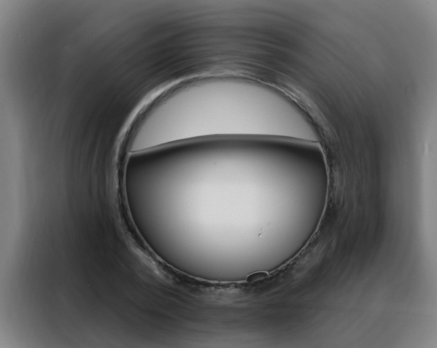 X0000088490784200705221021