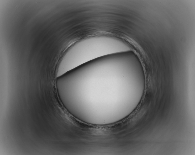 X0000088490785200705221021