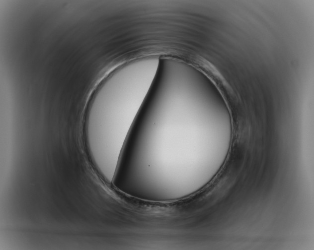 X0000088490786200705221021