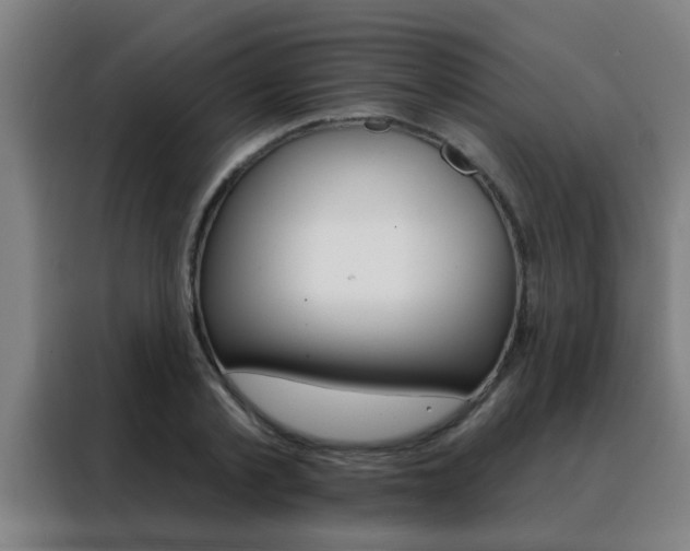 X0000088490789200705221021