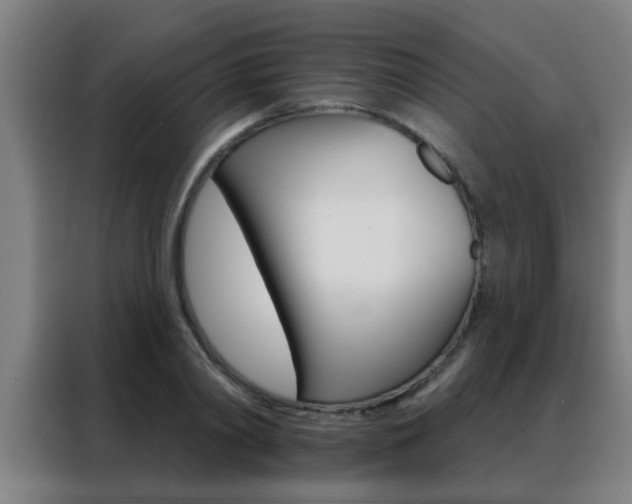 X0000088490790200705221021
