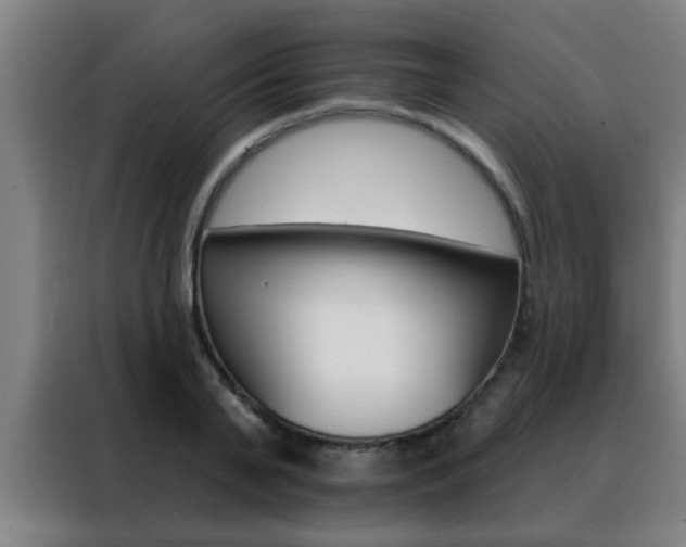 X0000088490791200705221021