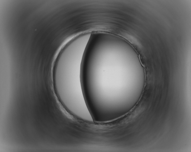 X0000088490792200705221021