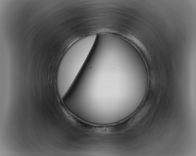 X0000088490793200705221021