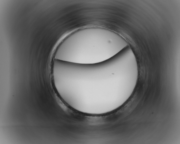 X0000088490800200705221021