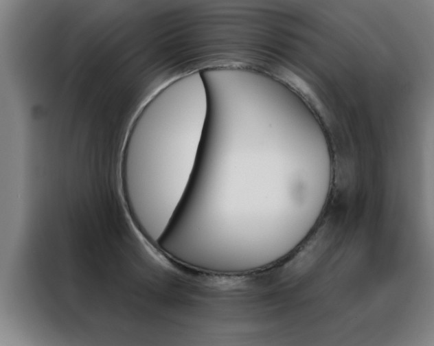 X0000088490802200705221021