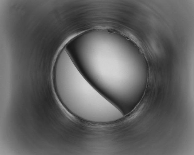 X0000088490803200705221021