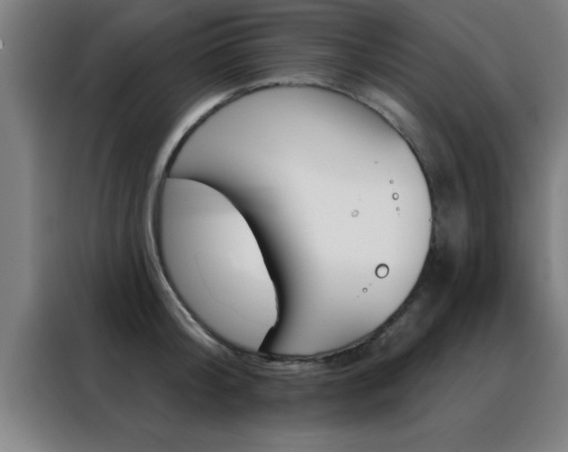 X0000088490804200705221021