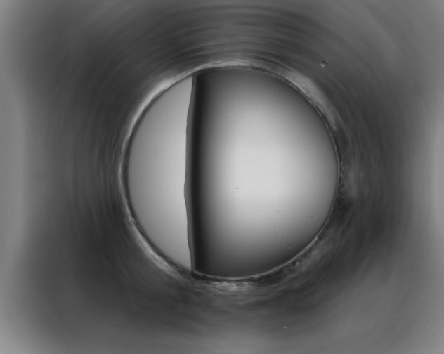 X0000088490805200705221021