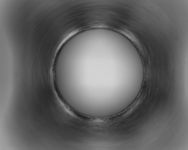 X0000088490806200705221021