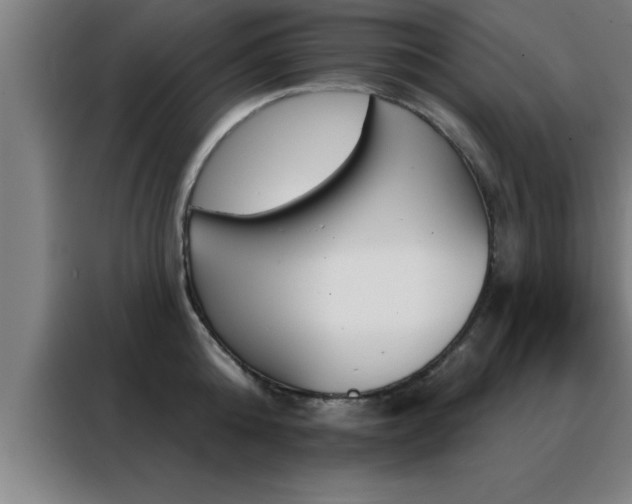 X0000088490808200705221021