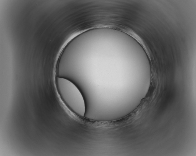 X0000088490811200705221021