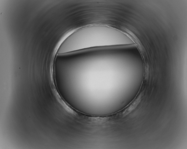 X0000088490812200705221021