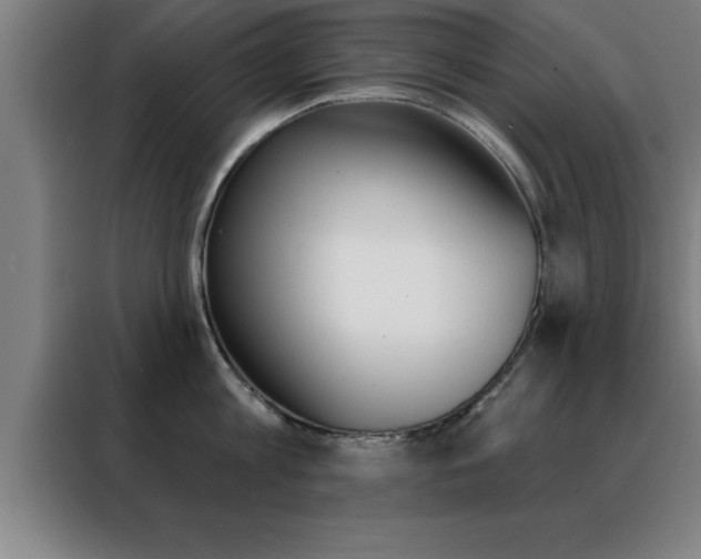 X0000088490813200705221021