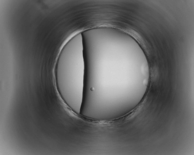 X0000088490814200705221021