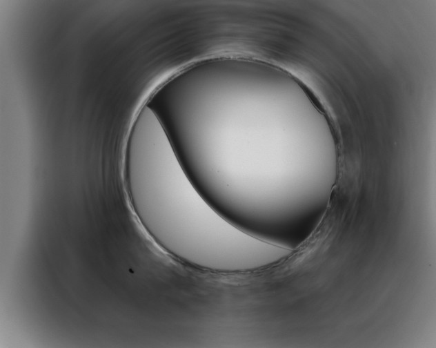 X0000088490815200705221021