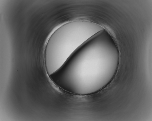 X0000088490816200705221021