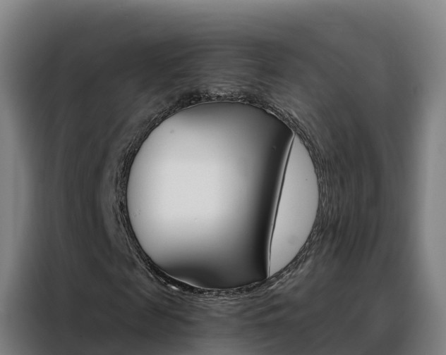X0000088490817200705221020