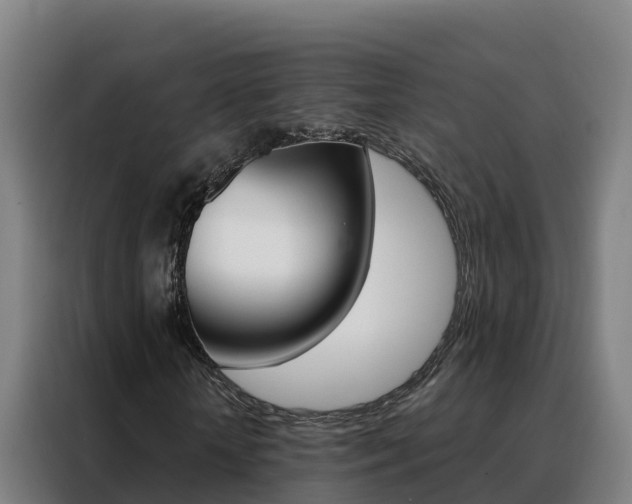 X0000088490818200705221020