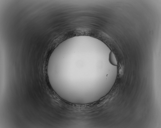 X0000088490819200705221020