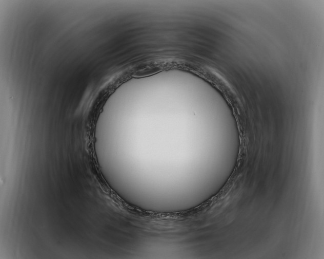 X0000088490823200705221020