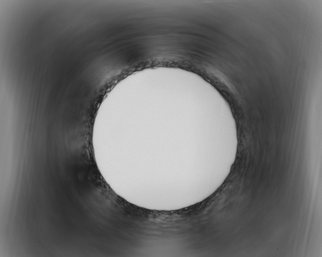 X0000088490824200705221020