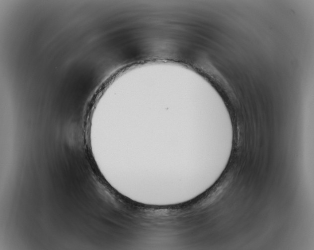 X0000088490828200705221020