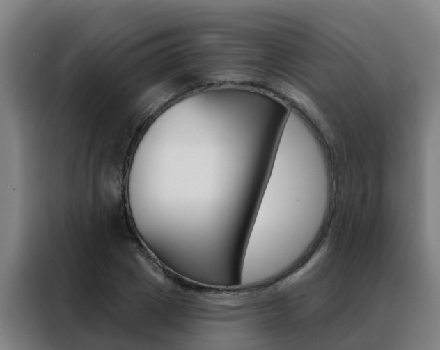 X0000088490833200705221020