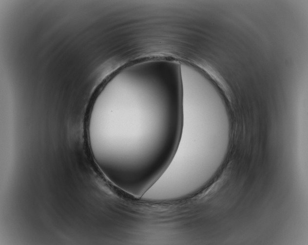 X0000088490834200705221020