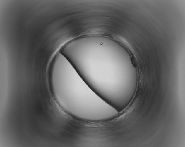 X0000088490835200705221020