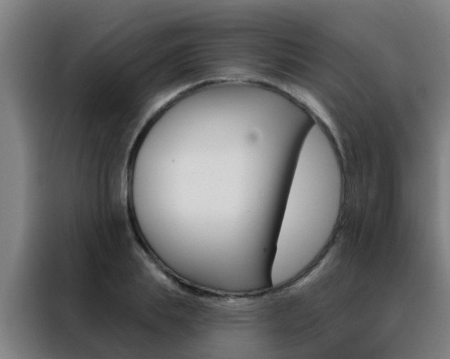 X0000088490839200705221020
