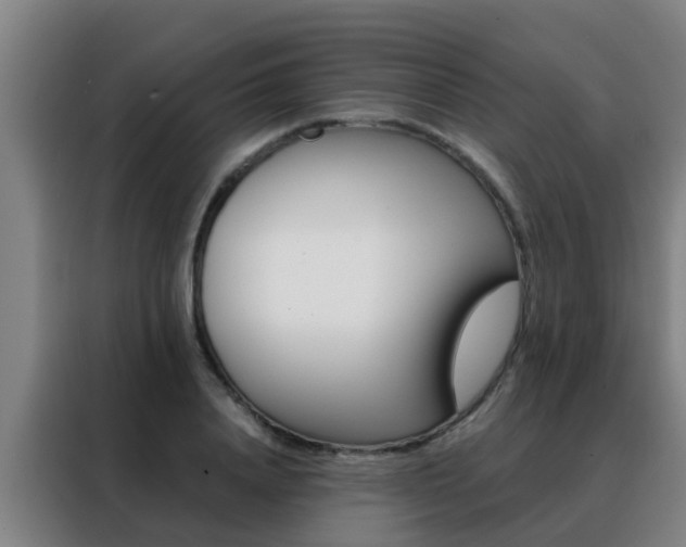 X0000088490840200705221020