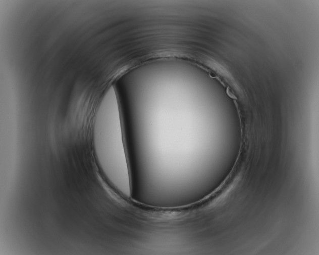 X0000088490841200705221020